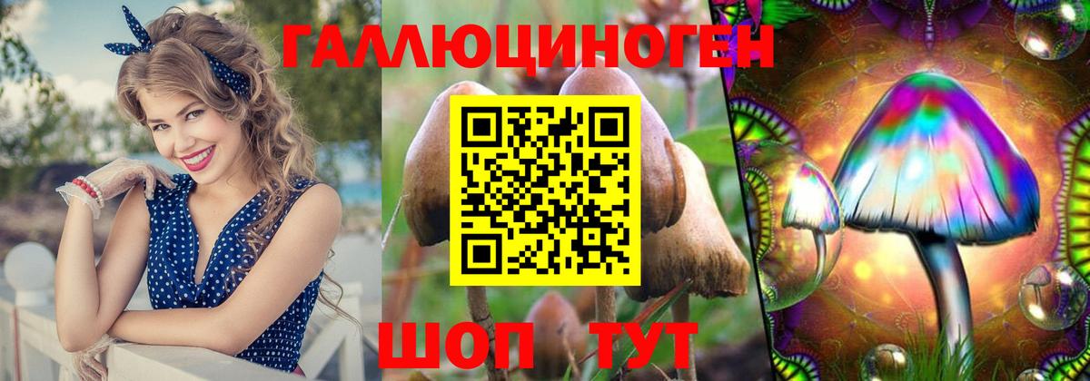 Заводоуковск  как найти закладки  Вход с VPN  Галлюциногенные грибы Psilocybine cubensis 